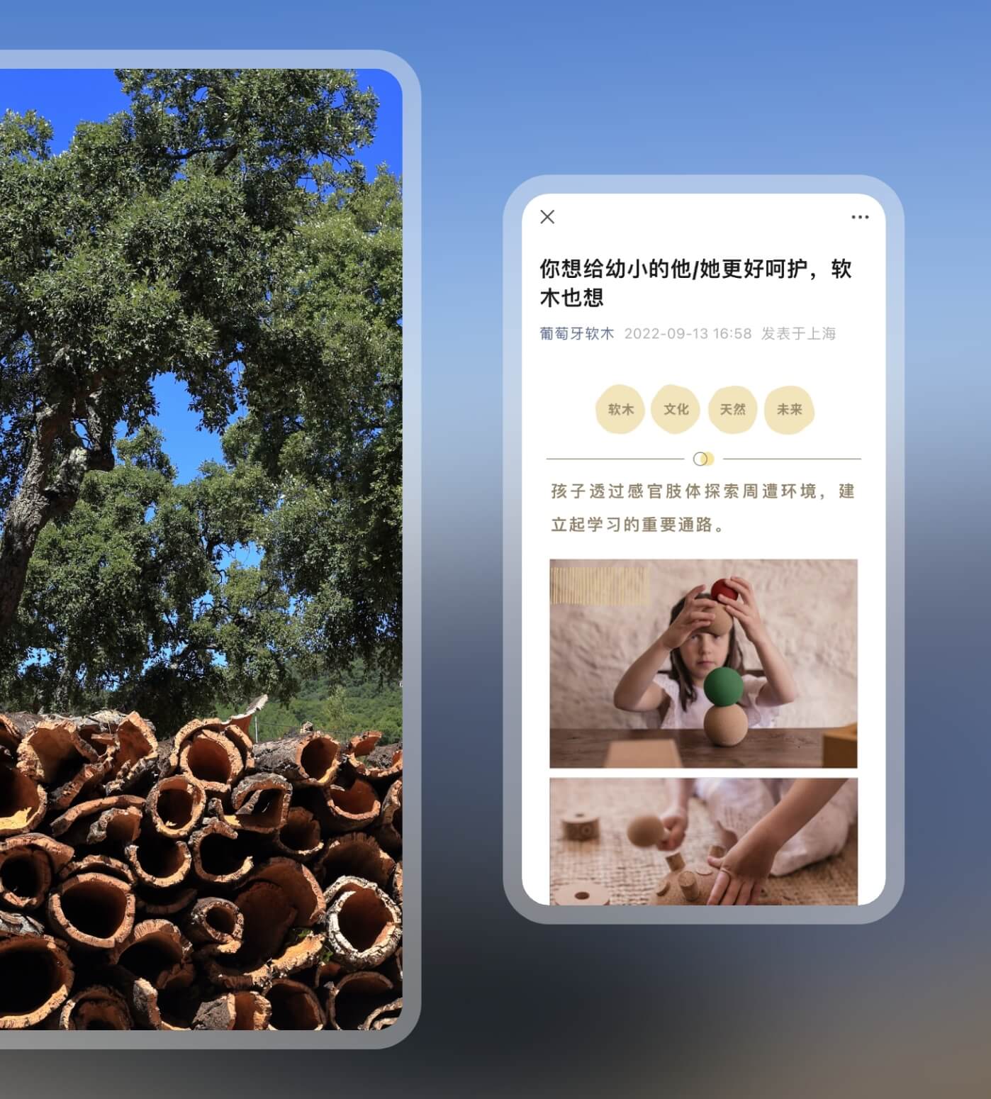 Advice menu for WeChat official accounts by Flow Asia