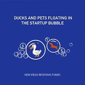 Ducks And Pets Floating In The Startup Bubble