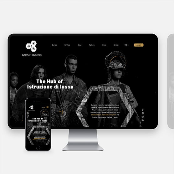 Web design in Black & White: European Education