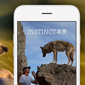 INSTINCT | 本灵 is now in China