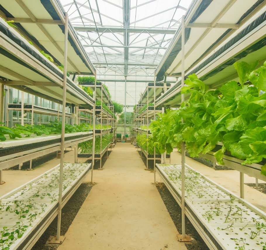 CKGSB Social Innovation report Testimonial- Flow Asia
