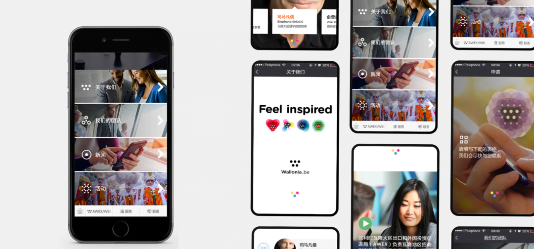 Mini-Program vs. Mini-Website: differences, design, price 3 - Flow Asia