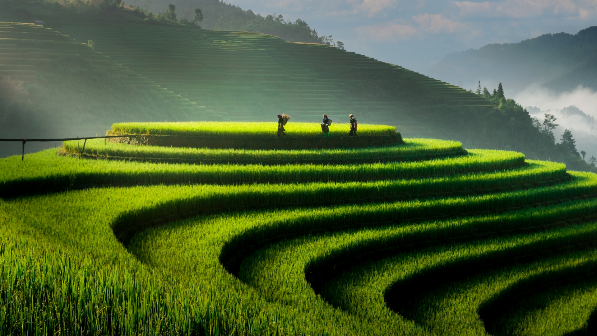 UPM website image - Flow Asia