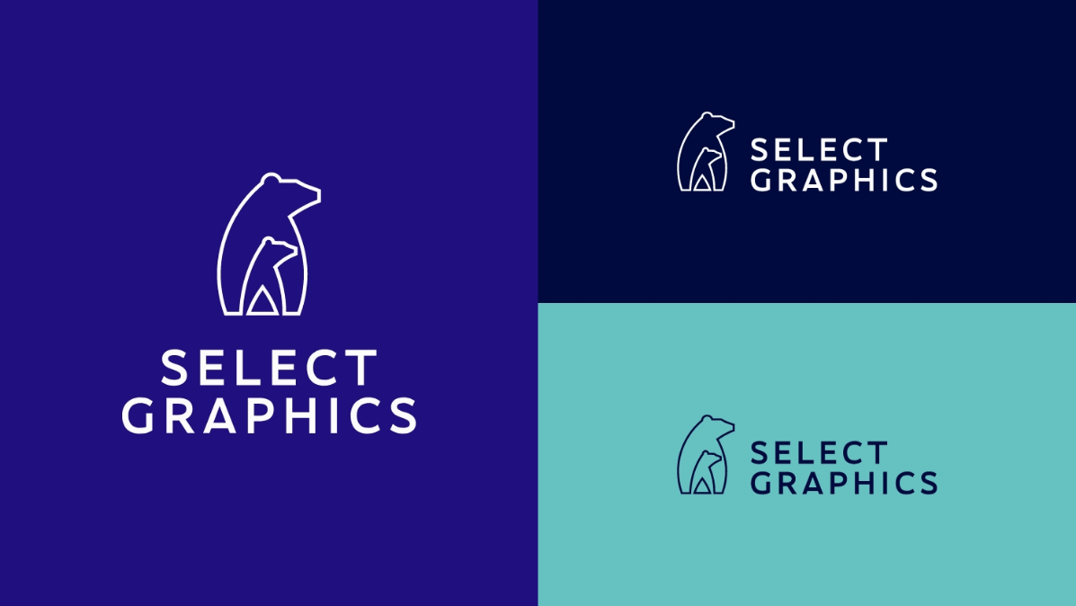 Logo & Visual Identity 1 - Flow Asia